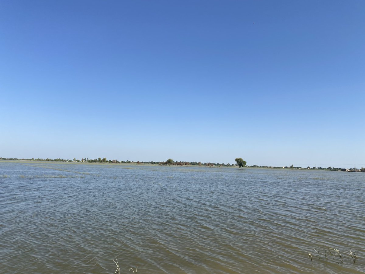 BhuttoZulfikar's tweet photo. Dadu district today 4th October 2022. Water laps the sides of the roads like an ocean - the larger portion of the torrential rains occurred August 20-24 and river floods in early Sept. It has been over a month. https://t.co/AJFZo5U1Ue