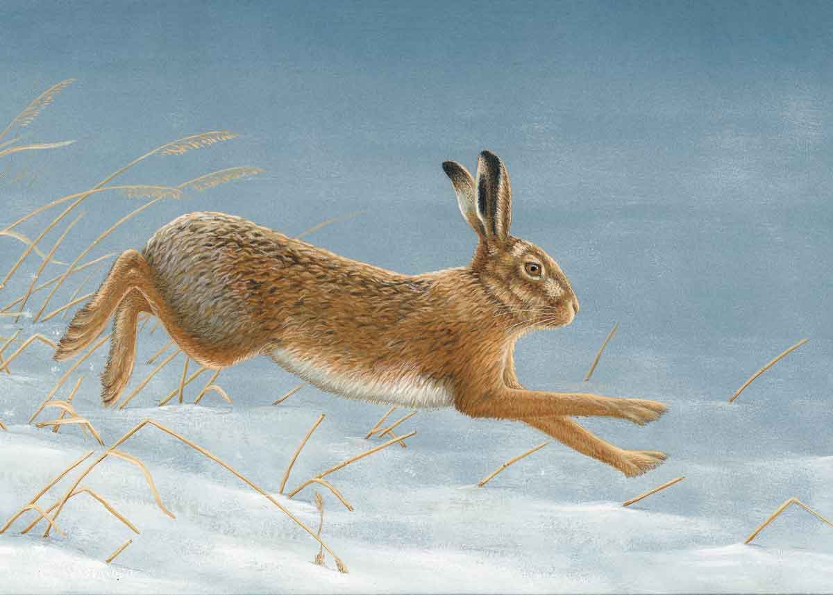 Robert E Fuller tweet media