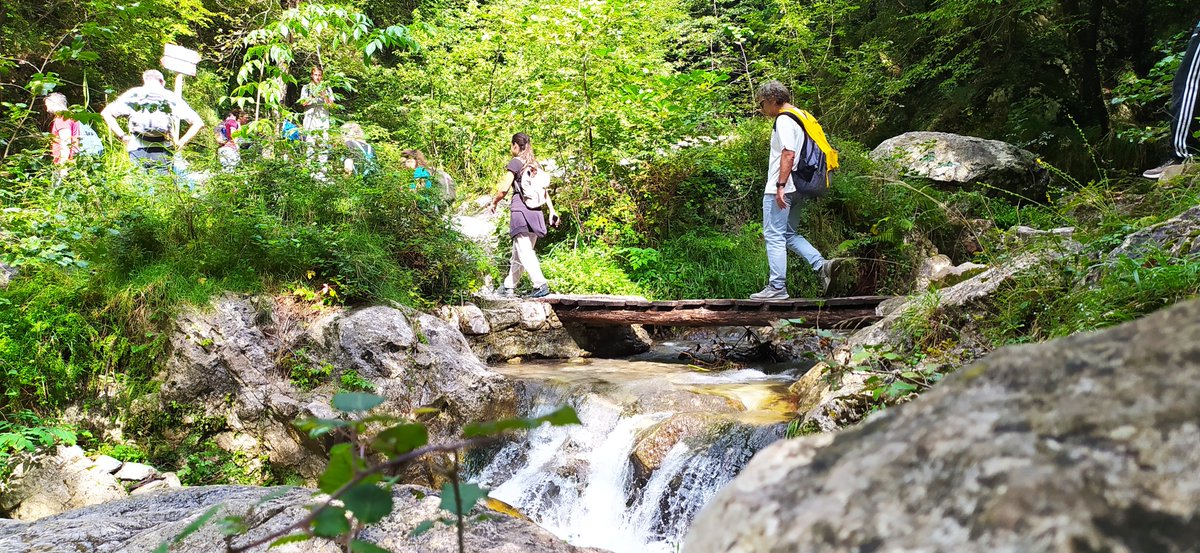 UniSalerno's tweet photo. [#UNISAMBIENTE |Passeggiata alla Valle delle Ferriere]
Con un'escursione alla Riserva Naturale Orientata, nella Valle delle Ferriere, l’Ateneo ha aderito all’iniziativa #ClimbingforClimate, promossa dalla Rete delle Università per lo #Svilupposostenibile e dal #ClubAlpinoItaliano https://t.co/c8kuzOAcps