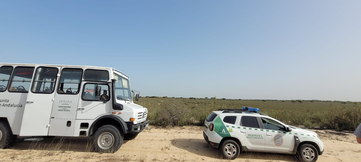 CILIFO_UE's tweet photo. 🧿 #SECOMIIFF 🔥 | 5 DE OCTUBRE
La última jornada transcurre con salida al campo. Los participantes se han trasladado hasta el Espacio Natural #Doñana con el objetivo de ver la zona afectada por el incendio de #LasPeñuelas (#IFMoguer2017) y los trabajos de restauración realizados https://t.co/VyauzcArFw