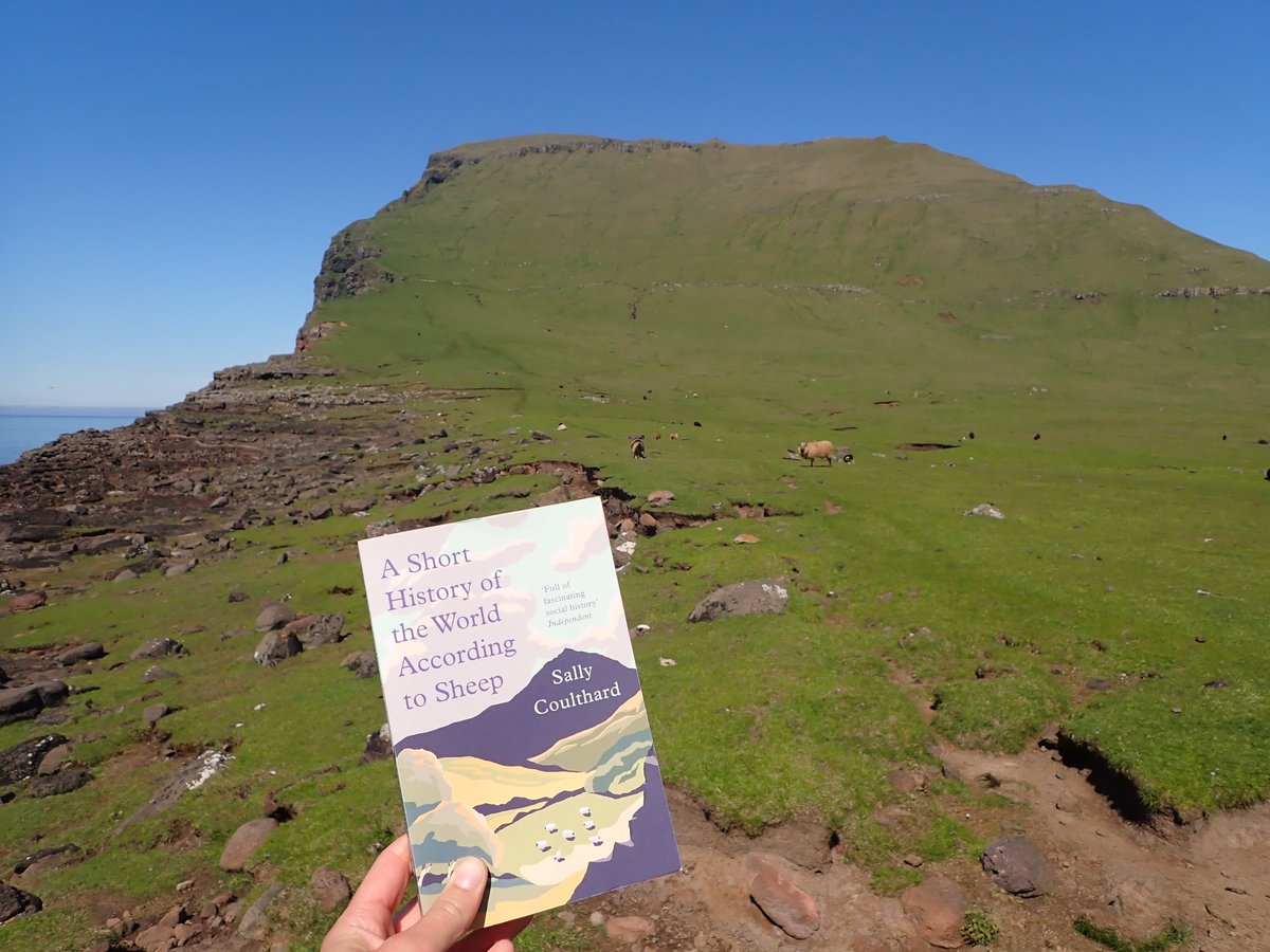 AgnesKreiling's tweet photo. @RobGMacfarlane "A short history of the world according to sheep" by @SallyCoulthard on the island of #Koltur surrounded by the lovely Faroese sheep. https://t.co/Gf7Yh7sNgZ