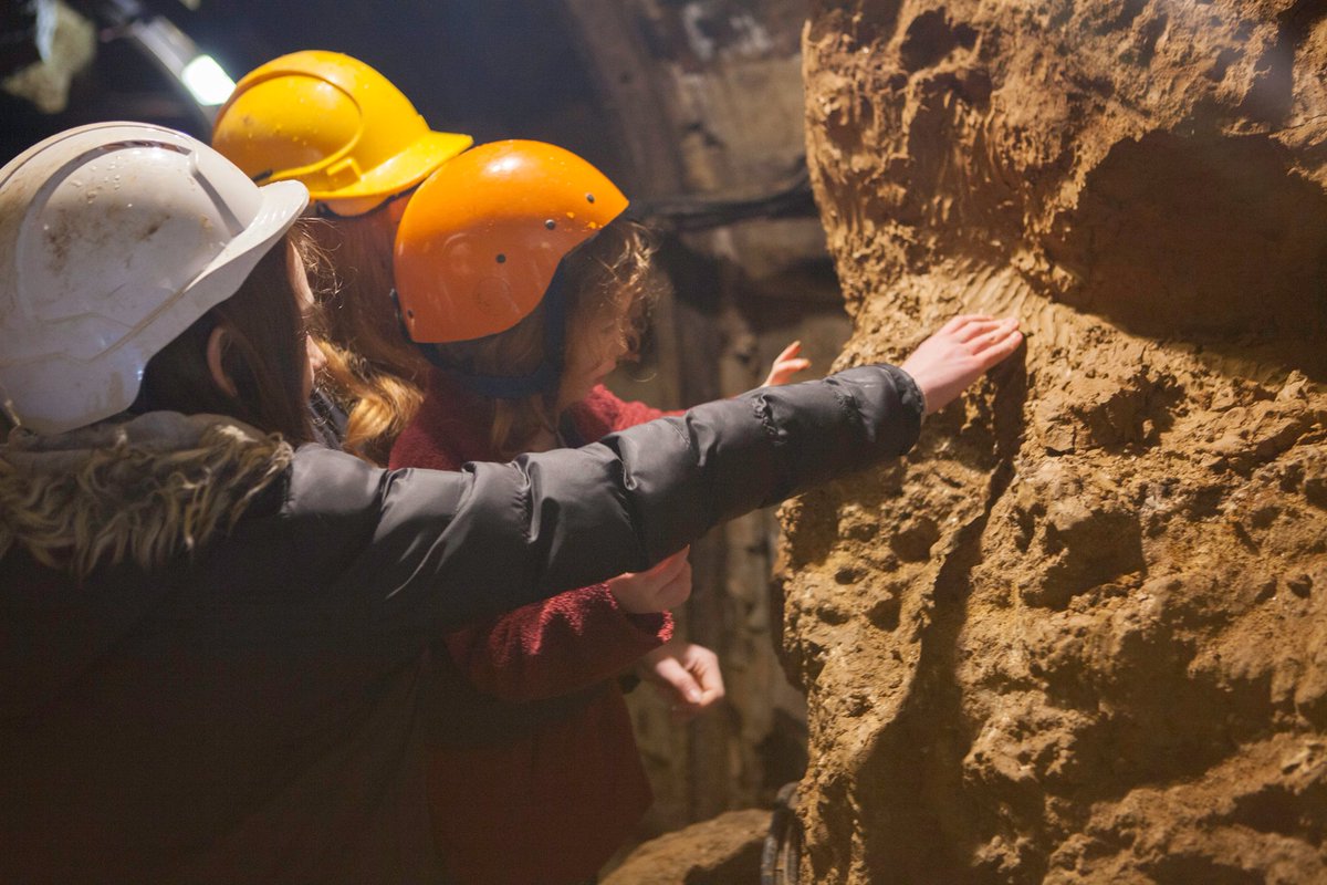 Tomorrow afternoon we will be joining representatives from Westminster Abbey and the Yorkshire Sculpture Park to discuss how we manage family tours in our respective museums including, in our case, Temple Mine. <a href="/FamiliesMuseums/">Families in Museums Network</a> <a href="/kidsinmuseums/">Kids in Museums</a> <a href="/MuseumsForum/">Derbyshire Museums</a> <a href="/vpdd/">Visit Peak District & Derbyshire</a>