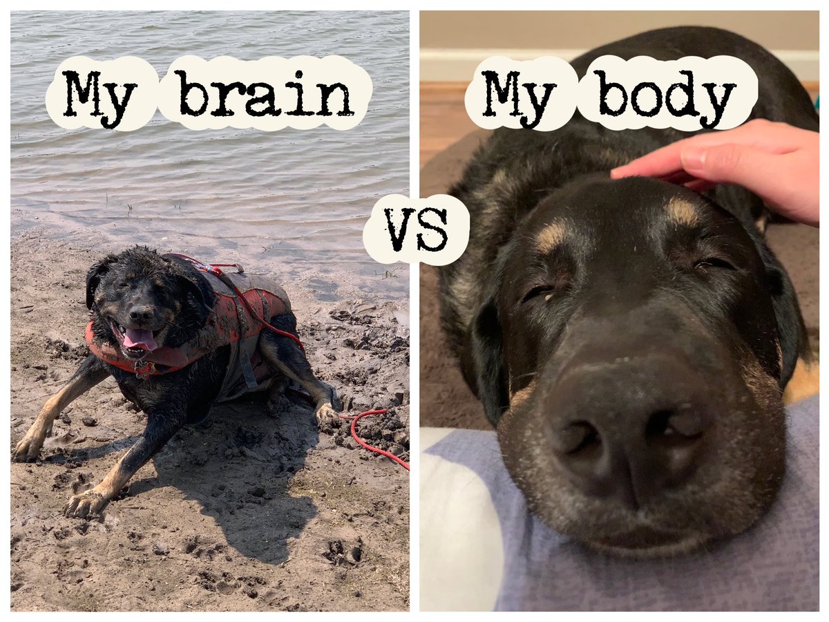 Wake up at 4am to catch a flight at 6:30am. So excited to meet ppl at #SIGDOC22 in Boston. My brain vs my body now.