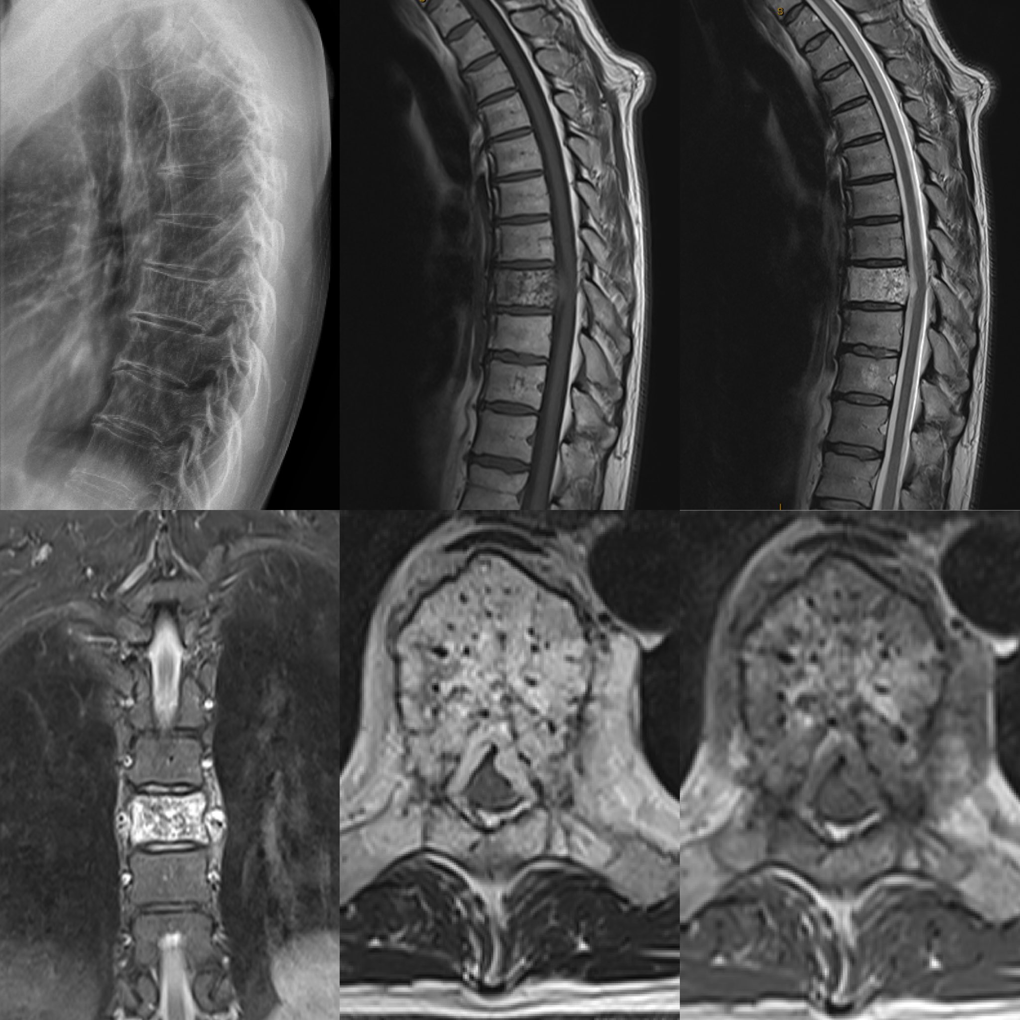 Dr Mike Selby On Twitter To The virtualspine Community Help dr-mike-selby-on-twitter-to-the-virtualspine-community-help