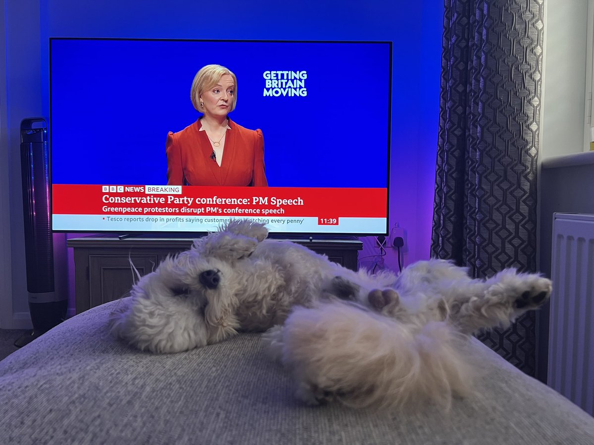 ShippKevin's tweet photo. I know how the dog feels 😴#Truss https://t.co/DpXq4xpoNb