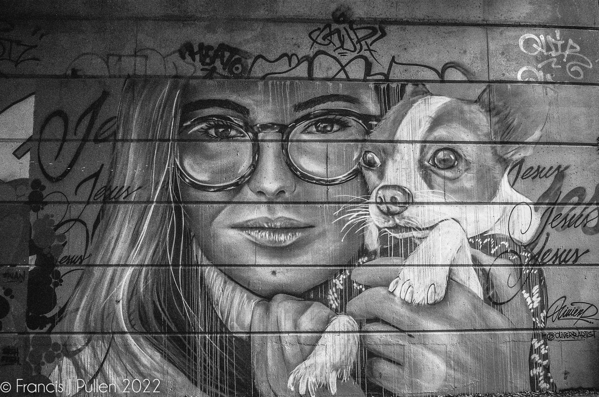 FrancisPullen's tweet photo. Spray Painting under a road bridge in Impington, north Cambridge
Olympus OM-1n
Ilford Delta 100, Box Date Dec 2005
Zuiko 3.5/28mm
@ILFORDPhoto @BelieveInFilm #keepfilmalive #blackandwhitephotography #expiredfilm #singlelensreflex #urban https://t.co/KNQBhejsaI
