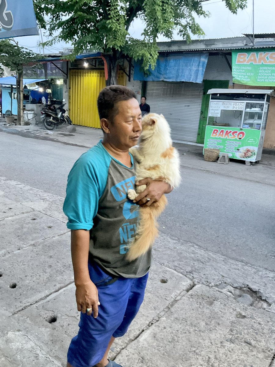 🐈 “ngipiin sih milihiri kicing, giidi minfiitnyi” ujar seorang bapakbapak beberapa taun lalu