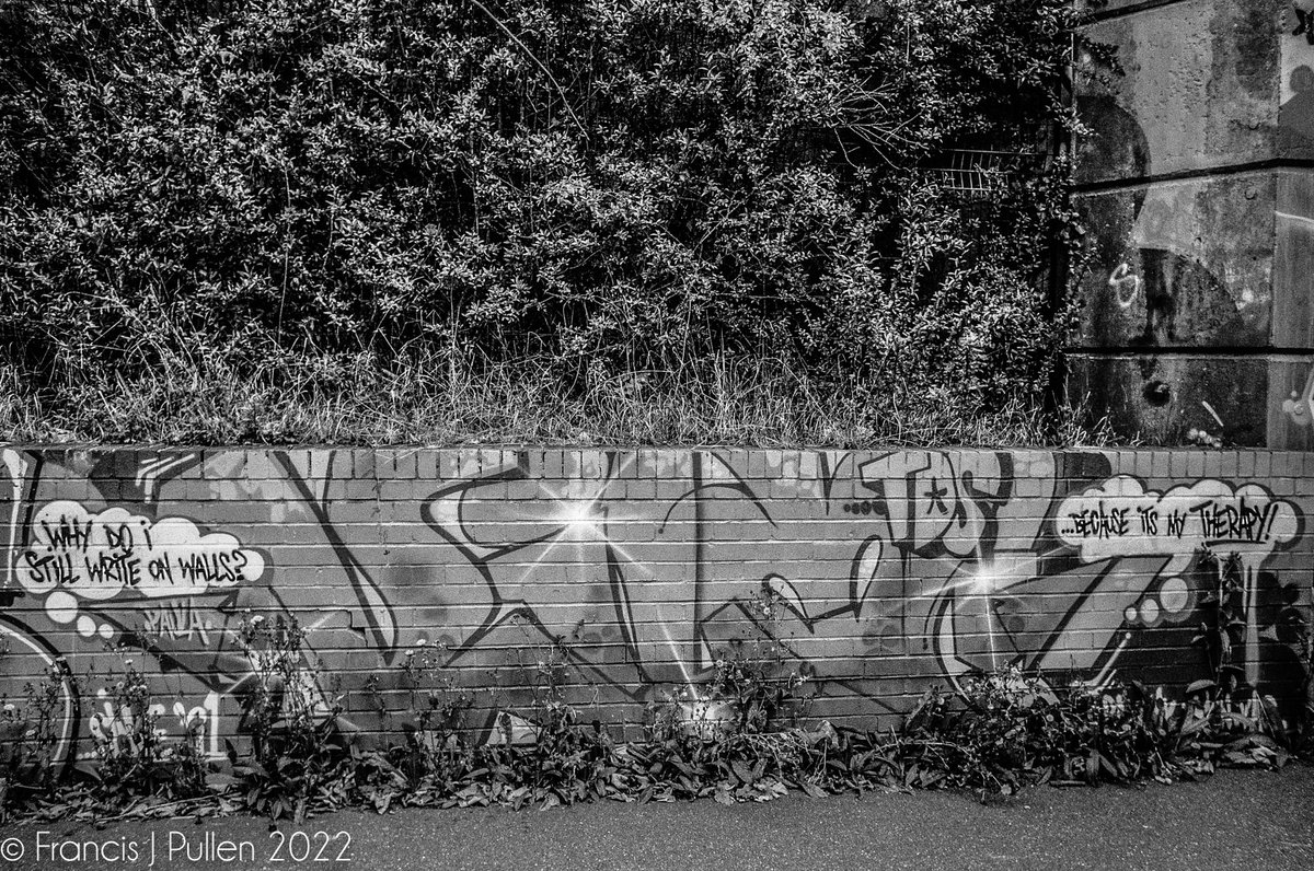 FrancisPullen's tweet photo. Spray Painting under a road bridge in Impington, north Cambridge
Olympus OM-1n
Ilford Delta 100, Box Date Dec 2005
Zuiko 3.5/28mm
@ILFORDPhoto @BelieveInFilm #keepfilmalive #blackandwhitephotography #expiredfilm #singlelensreflex #urban https://t.co/KNQBhejsaI