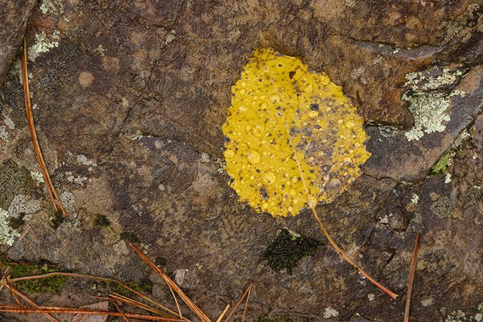 Matthew J. Kirsch Photography tweet media