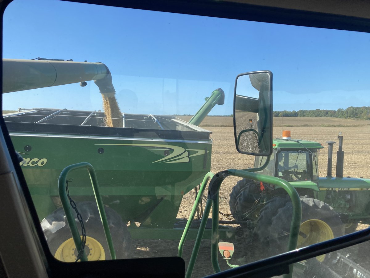 Beautiful day for harvest! 😃