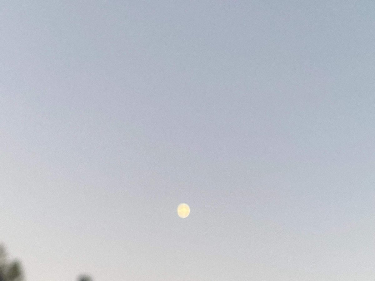AshleyReneeWx's tweet photo. Nice pics of the moon over #RulevilleMS last night 😍 #viewerphoto #mswx #mississippidelta https://t.co/gnernOIsgl