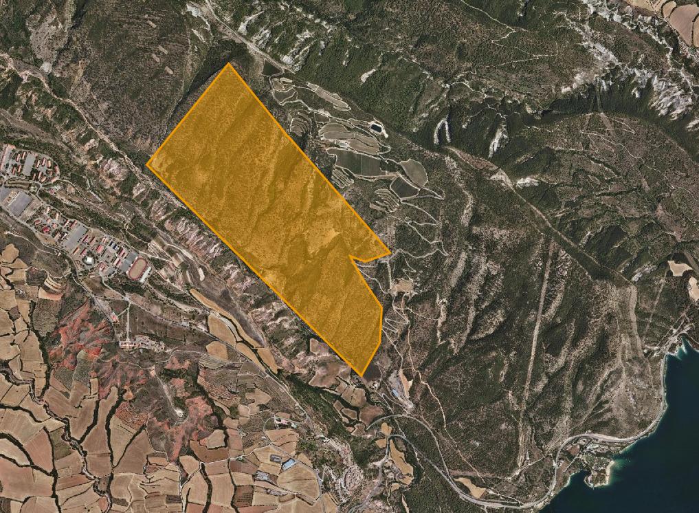 AjTalarn's tweet photo. ⚠️ Demà dijous, de 8h a 14h, hi haurà batuda de #senglar 🐗 a la serra de Costa Ampla terme municipal de Talarn (imatge adjunta ⬇️). Si us plau, respecteu la senyalització i, per seguretat, absteniu-vos d'accedir 🚷 a la zona delimitada de caça. #caça #senglar #talarn https://t.co/EpCOhA1lci