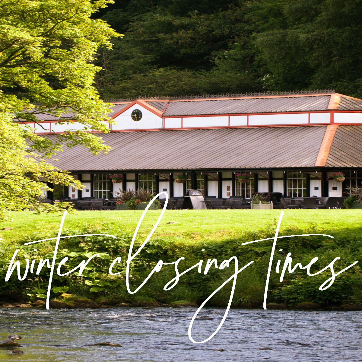 Cavendish Pavilion tweet media