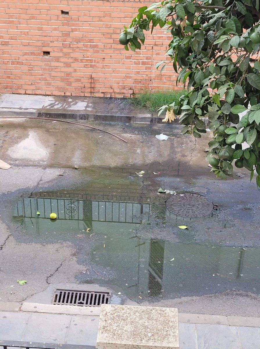 andalucia_Todxs's tweet photo. Aguas fecales desde hace demasiado tiempo en C/Cañete de Las Torres. Ni @ayuncordoba_es  ni @emacsa_es reducen y la vecindad PADECE INSALUBRIDAD @AndaluciaJunta @saludand https://t.co/PUGMMMWRwj