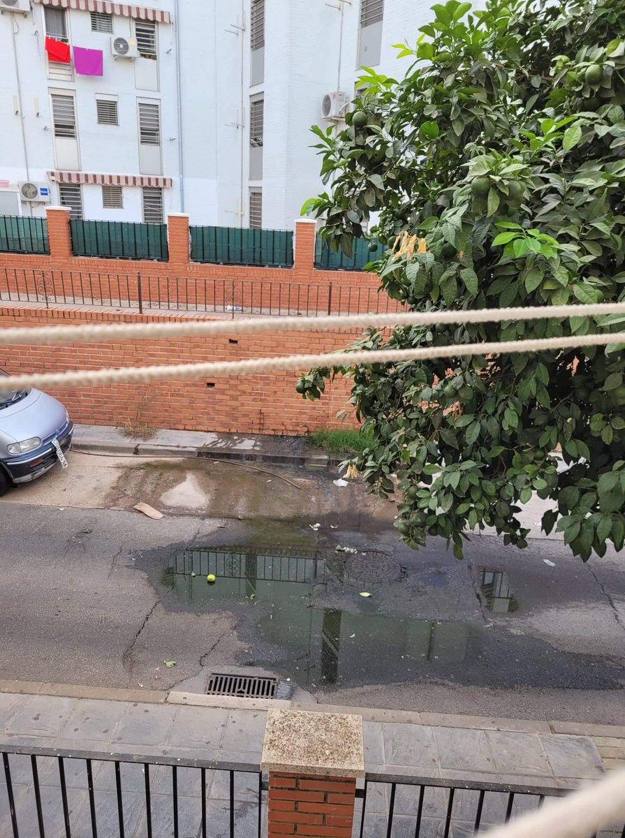 andalucia_Todxs's tweet photo. Aguas fecales desde hace demasiado tiempo en C/Cañete de Las Torres. Ni @ayuncordoba_es  ni @emacsa_es reducen y la vecindad PADECE INSALUBRIDAD @AndaluciaJunta @saludand https://t.co/PUGMMMWRwj