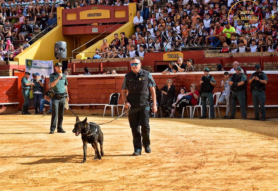 TOROS PEREDA tweet media