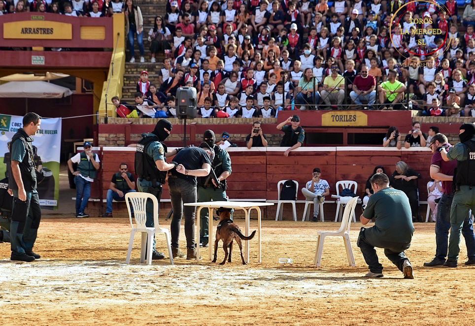 TOROS PEREDA tweet media