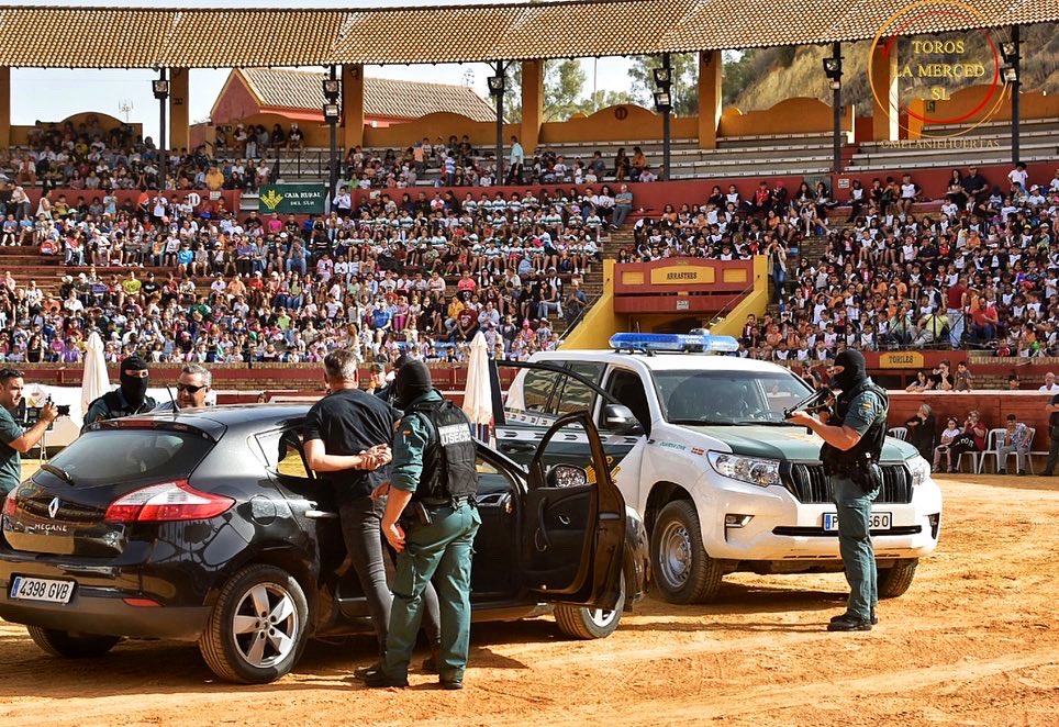 TOROS PEREDA tweet media