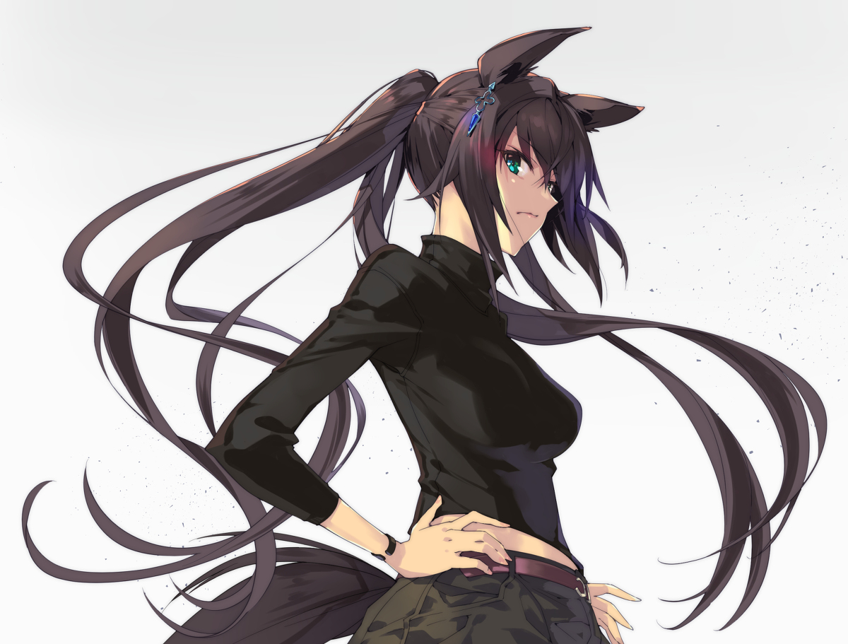 1girl animal ears solo tail long hair horse ears ponytail  illustration images