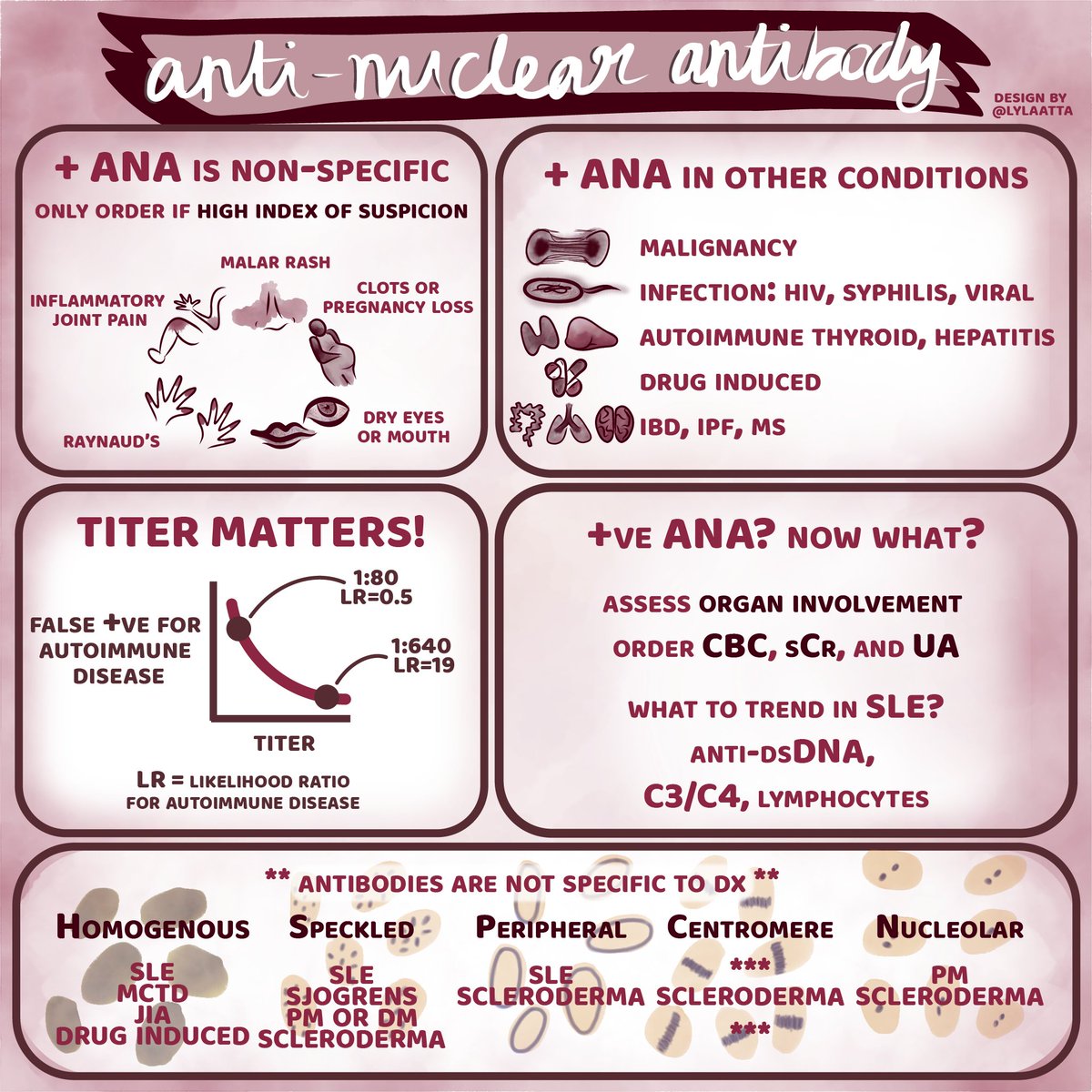 COREIMpodcast's tweet photo. 1/ 🚨 New Episode🚨

ANA (Antinuclear Antibody) Test: 
#5Pearls Segment

What does the titer mean? Is the pattern of the ANA helpful? What is the #ddx for a positive ANA?

🎧: https://t.co/mBf6HWCUzA
Show Notes:  https://t.co/ZuvwtqQQFz
Sponsor: https://t.co/8mZVaFNEfi https://t.co/Cp17QQ8fJk