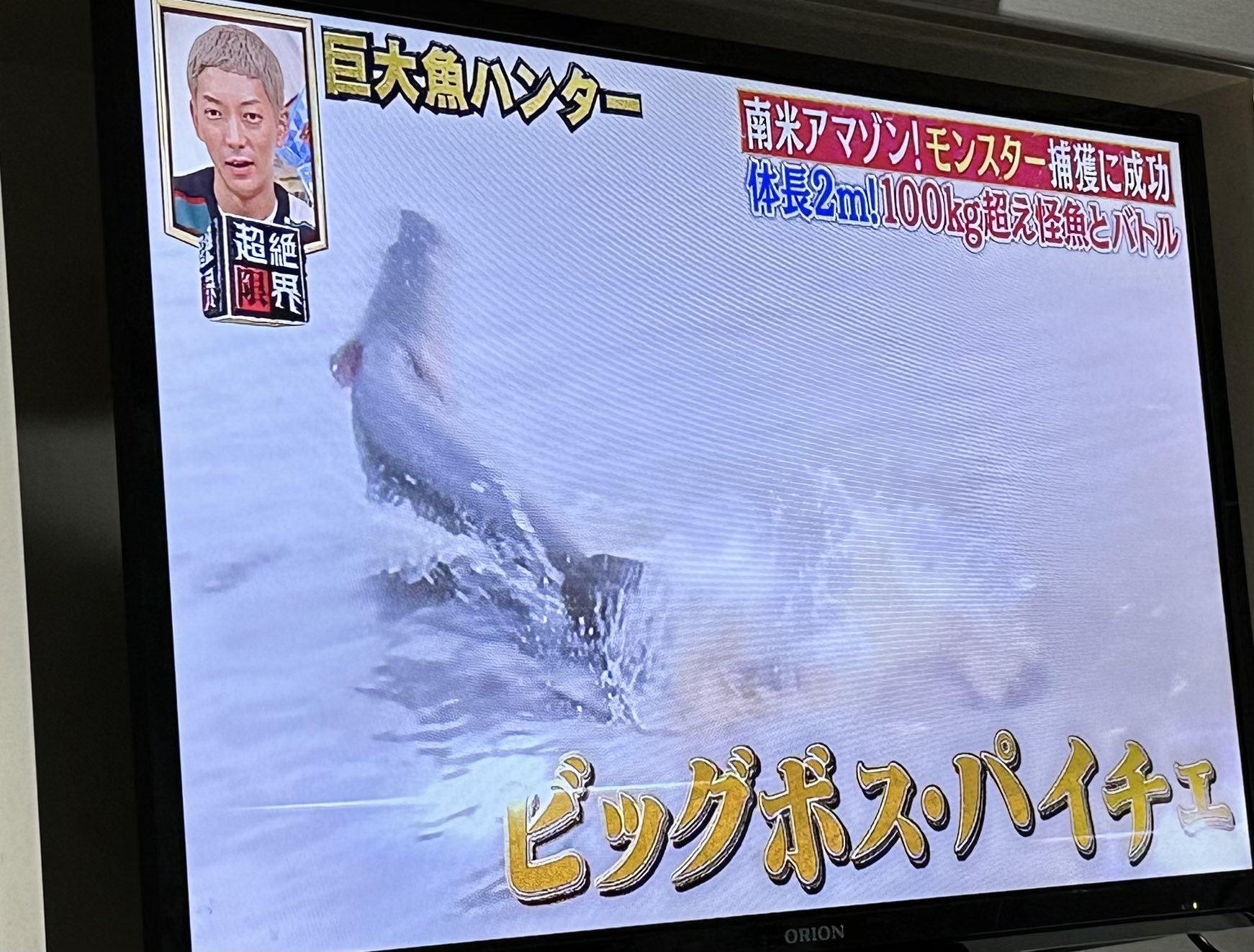 巨大魚ハンター Twitter Search Twitter