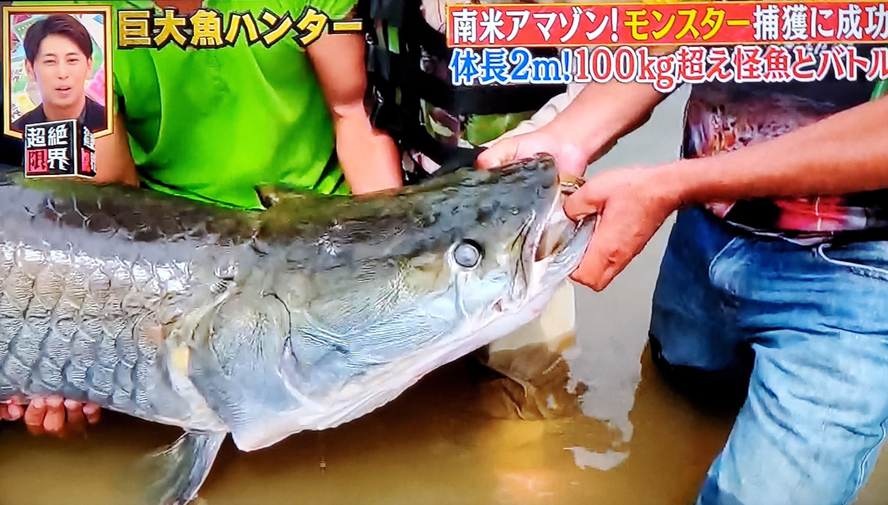 パイチェ Twitter Search Twitter