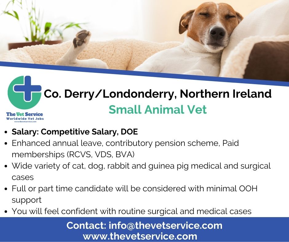The Vet Service on Twitter "Small Animal Vet Surgeon position in Derry