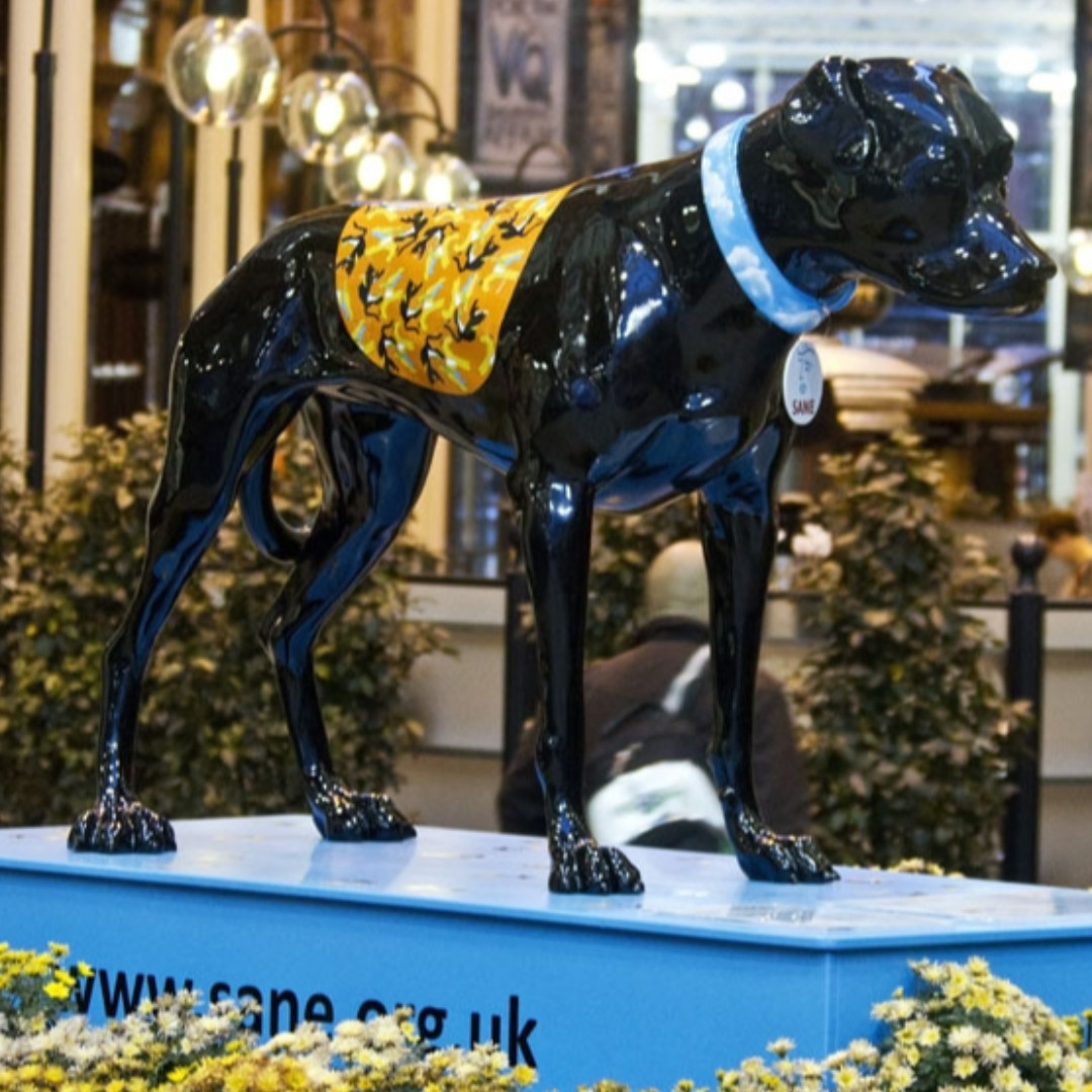 SANE | Changing mental health for good tweet media