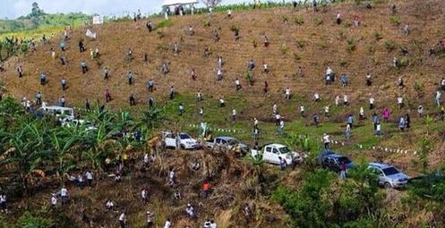 jimrosecircus1's tweet photo. In the Philippines they broke the world record after planting 3.2 million trees, in just one hour. I am so happy that something like this happened and can be  Tweeted about. I love great news. https://t.co/aJ6ZoKq6LM
