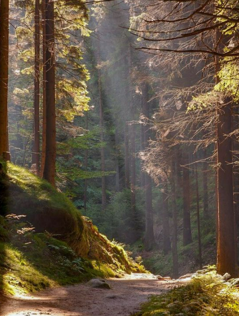Wist je dat wonen in een houten gebouw goed is voor de gezondheid?🌳 Waarom? Bekijk de korte uitleg 'waarom #houtbouw' 

youtu.be/gQRh8BucDGU