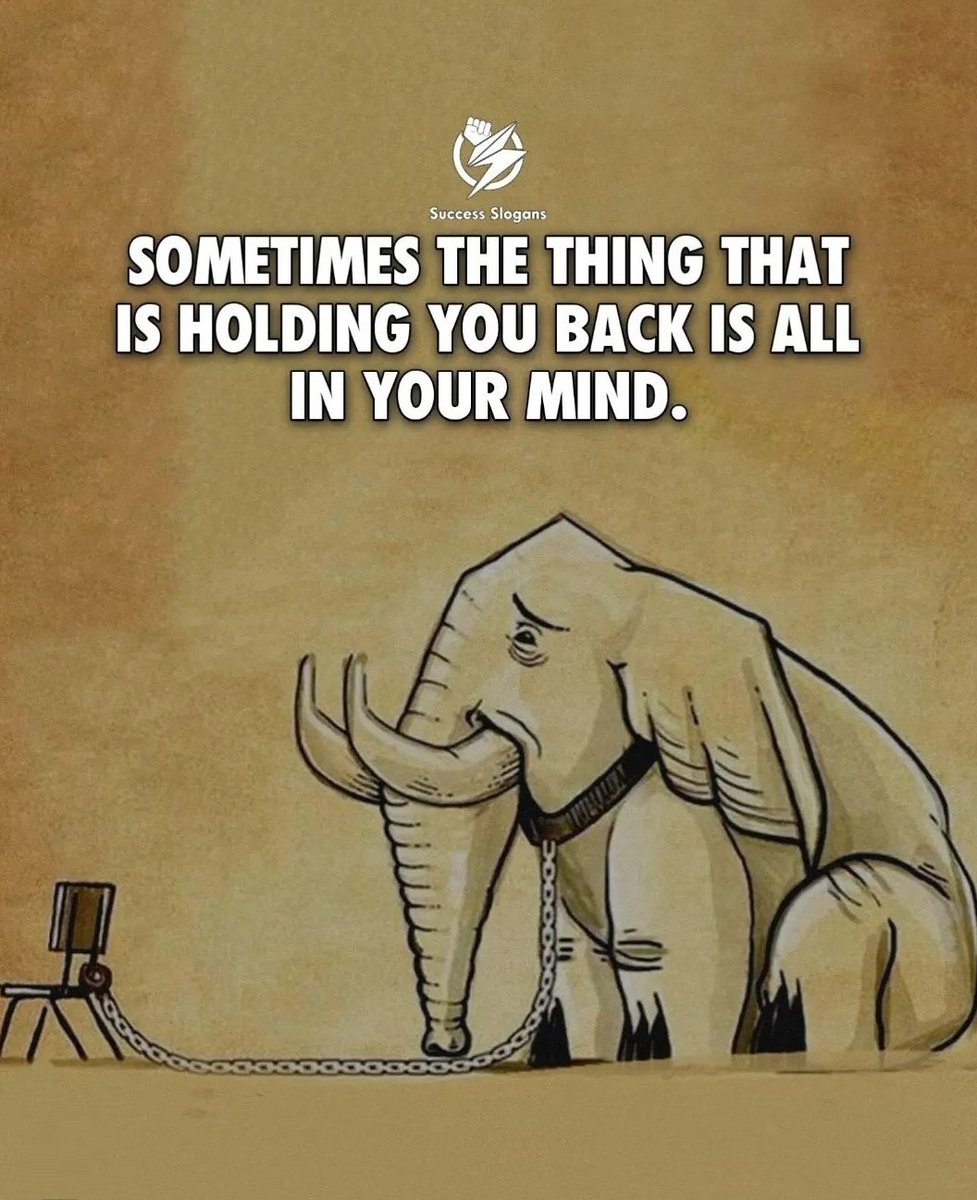 SeekWiser_'s tweet photo. 8 Hard Truths Of Psychology And Life: 

1. https://t.co/jgJEvi14oF