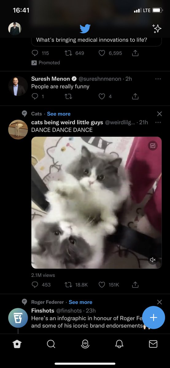 anshulrm's tweet photo. @sureshnmenon Cats are funny too https://t.co/Y1lWoKYK3L