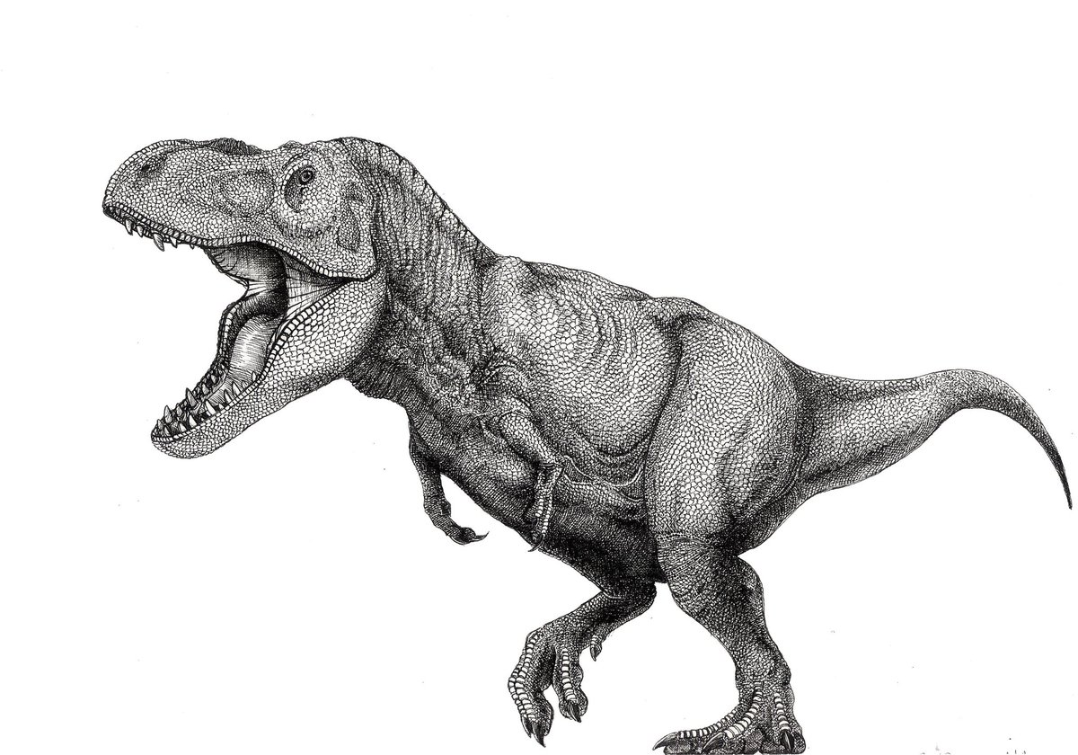 ティラノサウルス Twitter Search Twitter