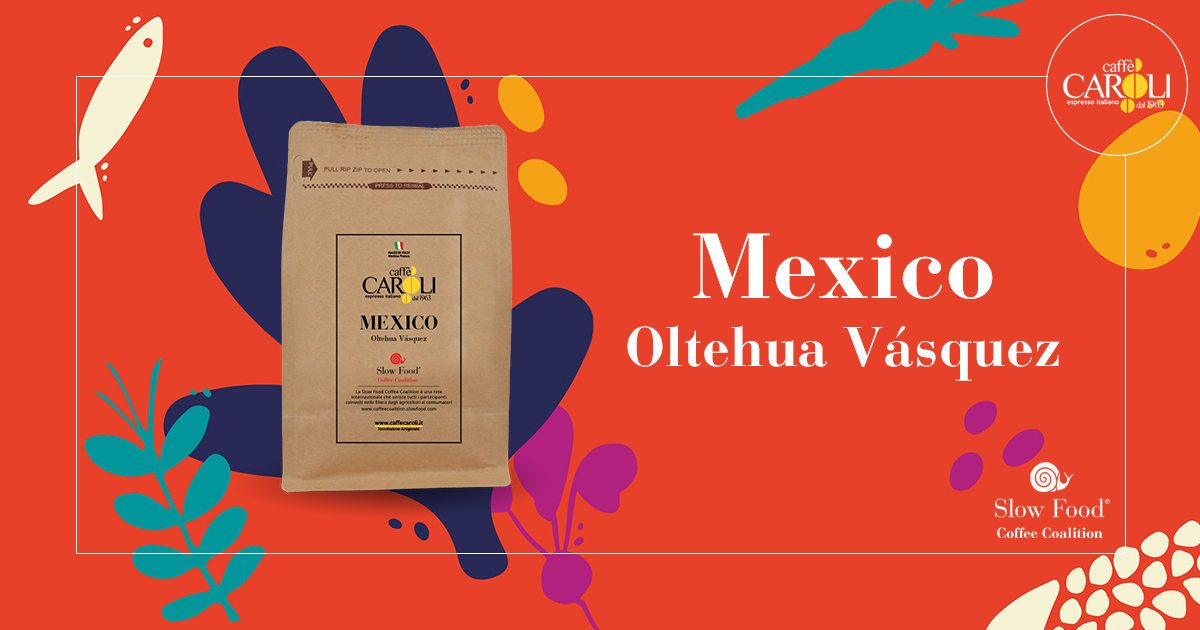 CaffeCaroli's tweet photo. Presentato al Salone del Gusto 2022 di Torino, da oggi è disponibile online il nostro nuovo caffè presidio Slow Food Coffee Coalition Mexico Oltehua Vásquez! 😎
Un pregiato caffè da non perdere!!! ☕
https://t.co/Hj2BicKnFU https://t.co/GoDHM1VoXm