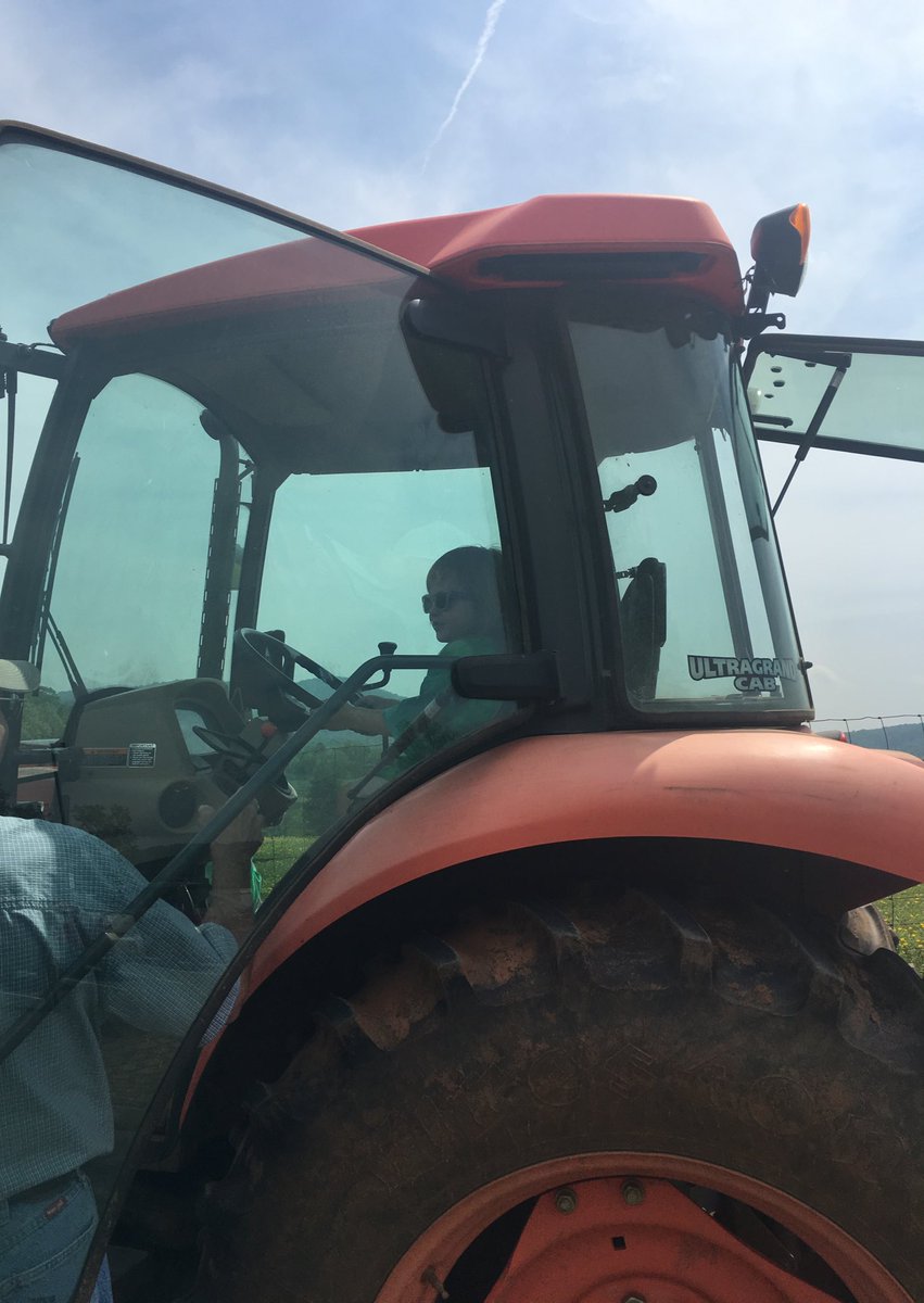 Timeless Learning tweet media