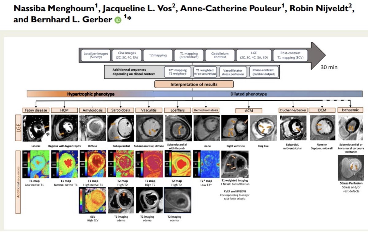 MAecocardio's tweet photo. https://t.co/HJn00JJPbq
Imperdible : valoración de las miocardiopatia con CRMN .imperdible https://t.co/2geYQlHuMl
