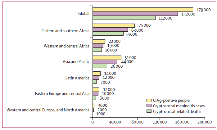 On #WorldMeningitisDay, important to recognise that Cryptococcus (a fungus) causes meningitis = 2nd biggest killer of people living w/ HIV

To end these deaths by 2030
1⃣Prevent HIV infections
2⃣ART to prevent AIDS
3⃣Screen those w/ AIDS for crypto
4⃣Treat meningitis better