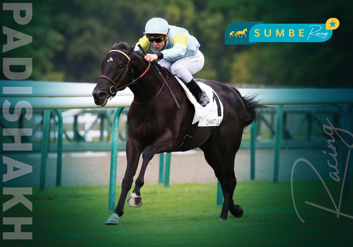 sumbe_fr's tweet photo. ⭐ Encore 1 point de marqué pour SUMBE Racing ! ⭐
Acheté à la vente de Yearlings Arqana du mois d'Août 2021, PADISHAKH répète à Chantilly en s'imposant dans le Prix Saussay (Classe 2), s'annonçant comme un prospect Classique !

👉🏻 Félicitations à son propriétaire Nurlan Bizakov https://t.co/ZDNmJE4ppv
