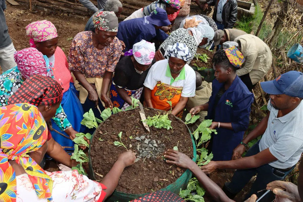 IFDCESAF's tweet photo. Over 70% of the #women under the #PCBProject, were trained to construct kitchen gardens in @NyandaruaCG018 adopted. This has helped guarantee the availability of #vegetables, which are crucial in achieving a balanced diet. https://t.co/GR0rhTtaee