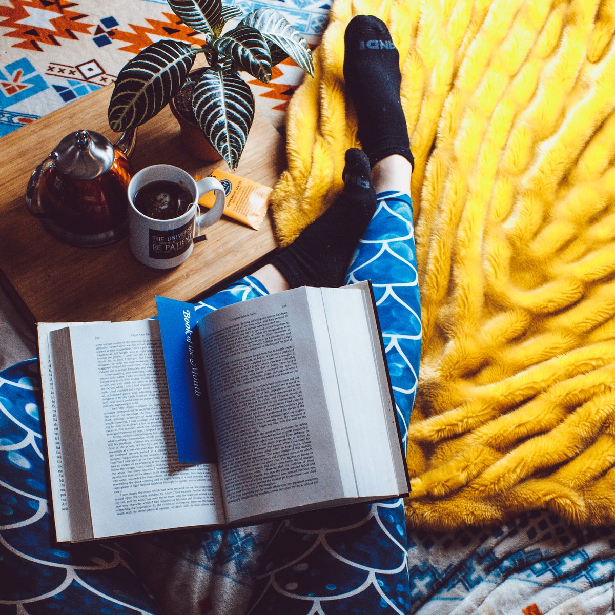 LancsLibraries's tweet photo. Why not pop into the Harris library in Preston. It's in a temporary home but it still has fantastic books to borrow.
It's definitely the weather to curl up with a book. ๐ง๏ธ๐
#HarrisLibrary #Preston https://t.co/3yP01axxsv
