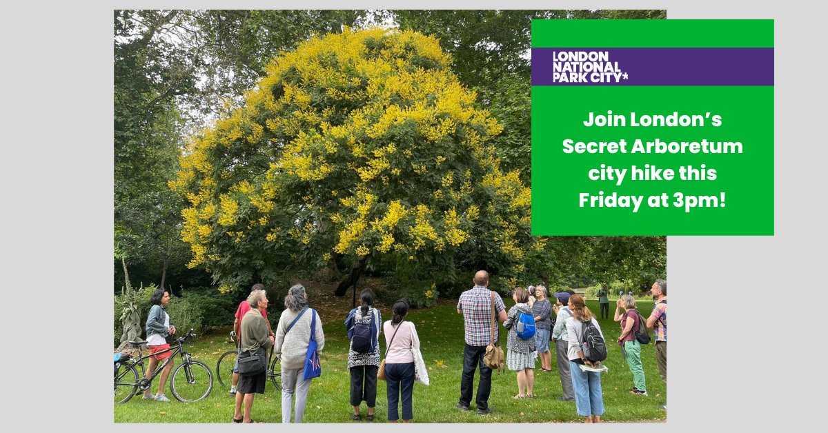 Did you know #London has 8mil trees? Join Ranger <a href="/GregPackman/">Greg Packman</a> this Friday at 3pm on a guided city hike  as he will be explaining the history, heritage, the  ecological and social value of our #trees. Get your free <a href="/Timberland_EU/">Timberland Europe</a> T-shirt &amp; tickets here: shorturl.at/inzJQ