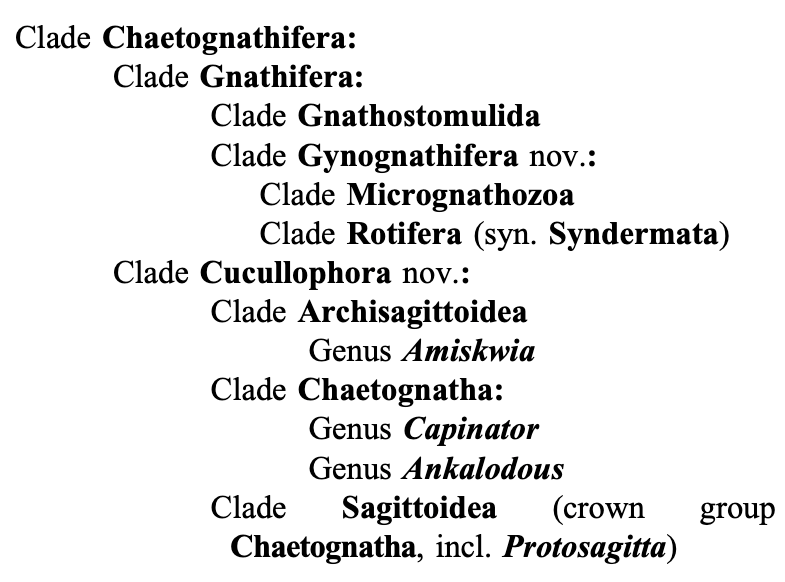 Finally, we tried to tide up the mess in the nomenclature on this part of spiralian tree. We systematize different naming systems and proposed to exclude Chaetognatha from Gnathifera and instead use Chaetognathifera to refer to the earliest branch of Spiralia. (3/4)