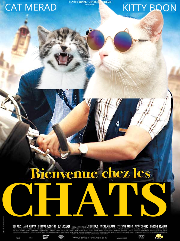 GrsnIsaure's tweet photo. @feuvert_fr Bienvenue chez les Chats 😺#PlaceChatDansUnTitreDeFilm https://t.co/V4pr5gbbZn