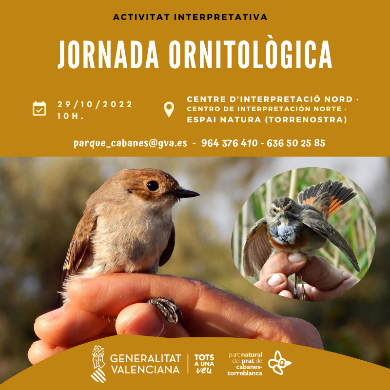 🐦Et convidem a conèixer les aus del #PNPratCabanesTorreblanca en aquesta jornada ornitològica bit.ly/3yhcbzB😀
🐦Te invitamos a conocer las aves del #PNPratDeCabanes de primerísima mano en esta jornada ornitológica bit.ly/3RwEXD2😀