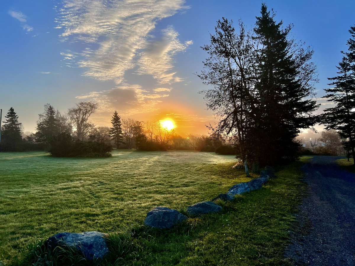 Leijsa's tweet photo. Fall mornings are my favourite https://t.co/aQvkRDXU30