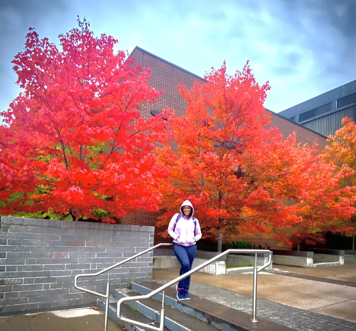 lalizziegp's tweet photo. Florecer… aún si cambias de estación 🍁❤️

#coloresdeotoño #autumn #otoño https://t.co/d21yUqAtVM