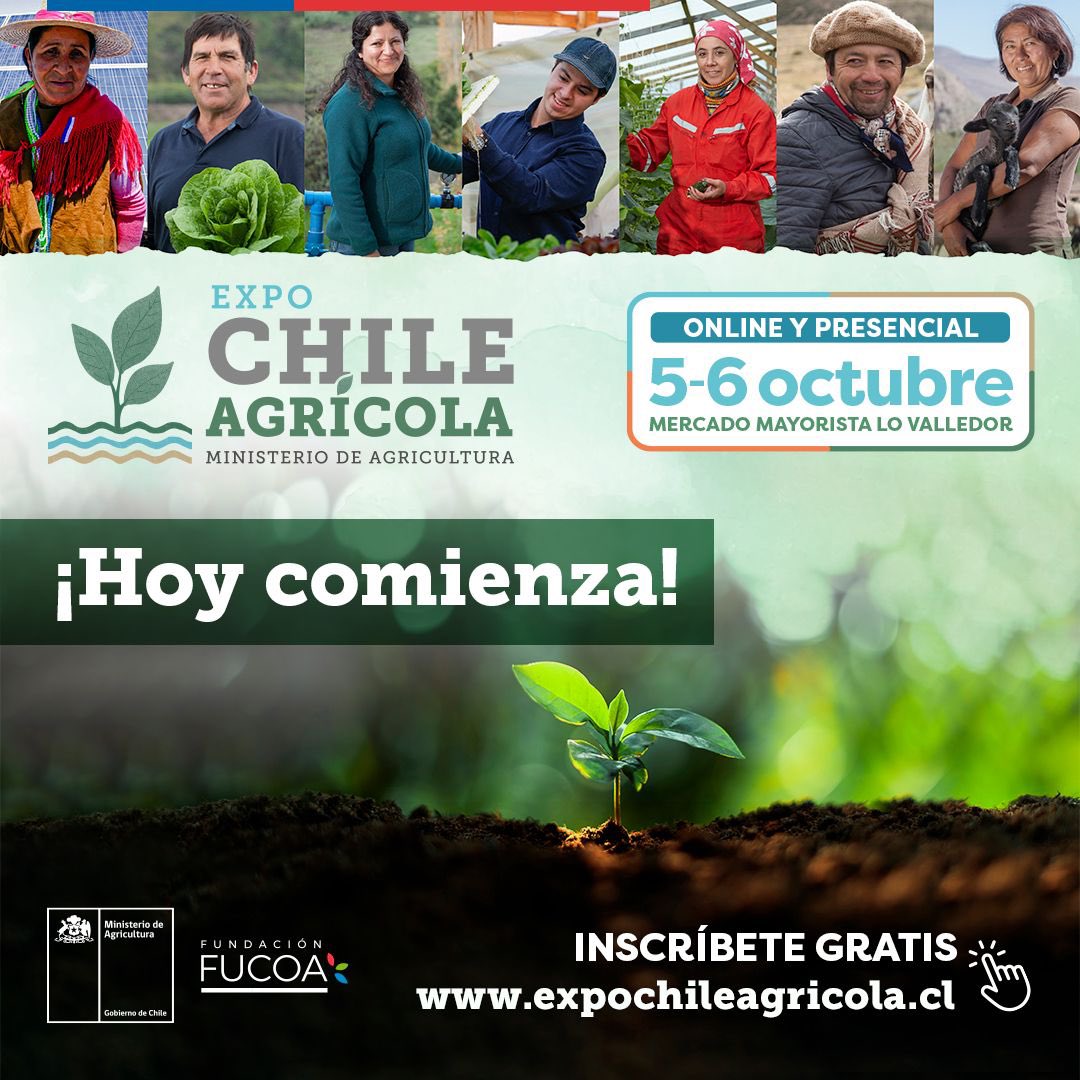 MinagriCL's tweet photo. ¡ES HOY!🙌🏻✨

Este miércoles 5/oct comienza la #ExpoChileAgrícola 2022 🌱

Recuerda que puedes participar de forma completamente gratuita del principal encuentro de capacitación del agro 🚜

🤝Presencial en @lo_valledor
👩🏻‍💻 Vía online en 👉🏻https://t.co/1tEukTe87N https://t.co/pVNY7q2yjZ