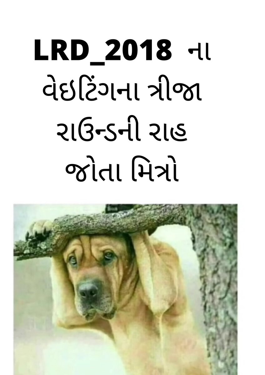 Phareb_'s tweet photo. @RajanThakkar9 
@sureshgelot1 
@dgpgujarat 
@GujaratPolice 
@CMOGuj 
@VikasSahayIPS https://t.co/7NMWLwoHrd