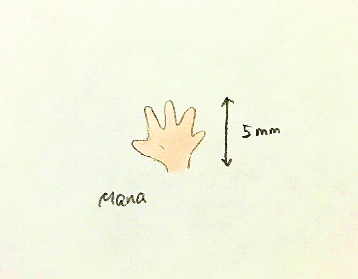 Wi5rhdbrm 9 Rm