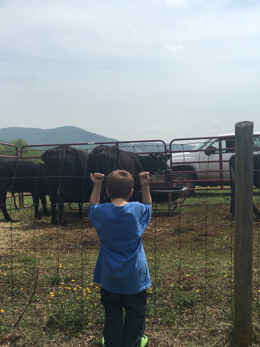 Timeless Learning tweet media